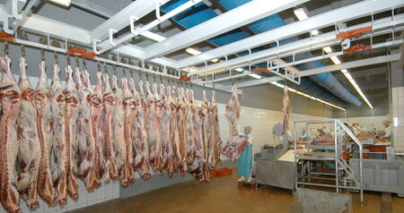 Дезинсекция на мясокомбинате в Звенигороде, цены на услуги