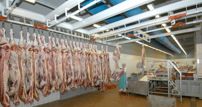 Дезинсекция на мясокомбинате в Звенигороде, цены на услуги